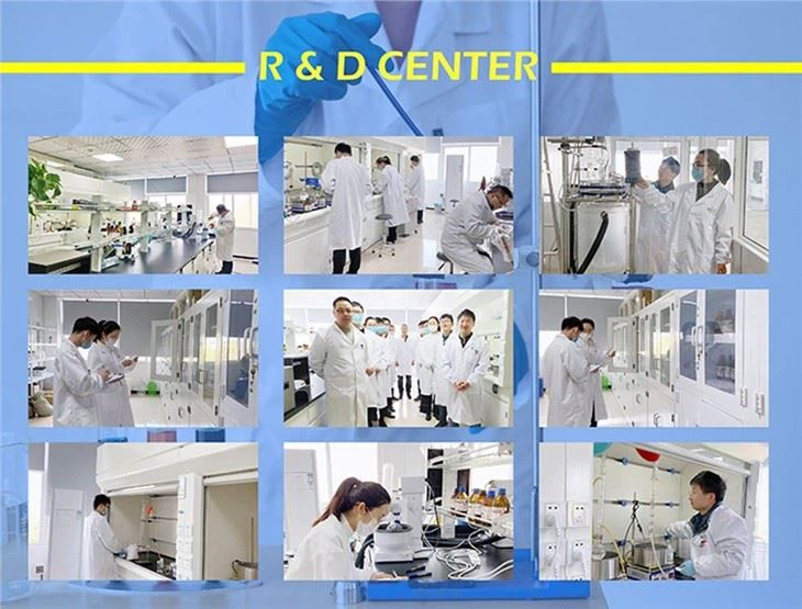 CAS: 592-88-1 | Diallyl Sulfide