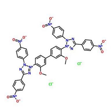 CAS:1184-43-6|Cloruro De Tetrazolio Tetranitro Azul