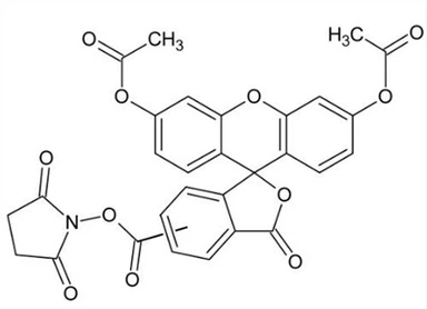 CAS:150347-59-4|5(6)-CFDA N-succinimidil éster