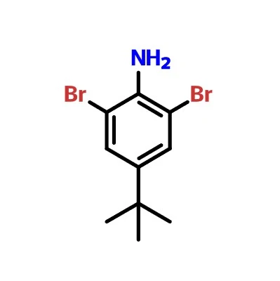 CAS:10546-67-5|2,6-Dibromo-4-(terc-butil)anilina